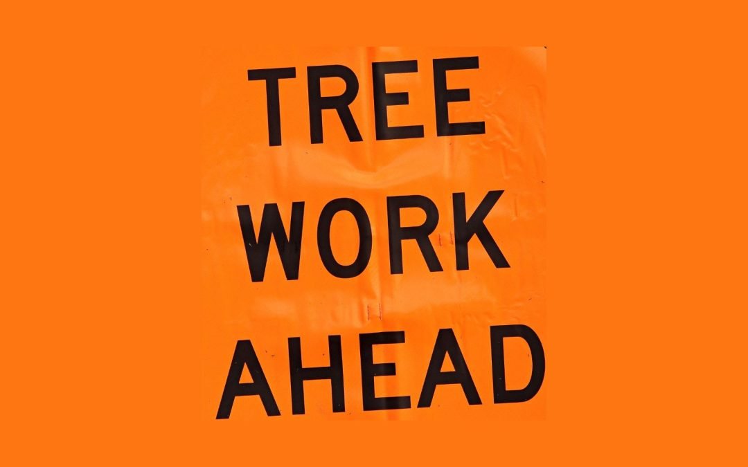 why prioritize safety & protection working with tree care company katy tx